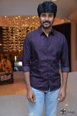 Remo Movie Success Meet